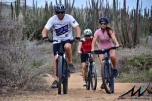 mountainbike rentals