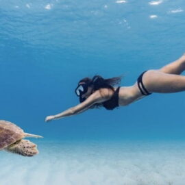 Kayak & Snorkel Adventure in Aruba: Discover Boca Catalina