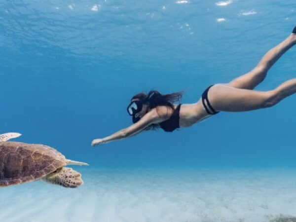 Kayak & Snorkel Adventure in Aruba: Discover Boca Catalina